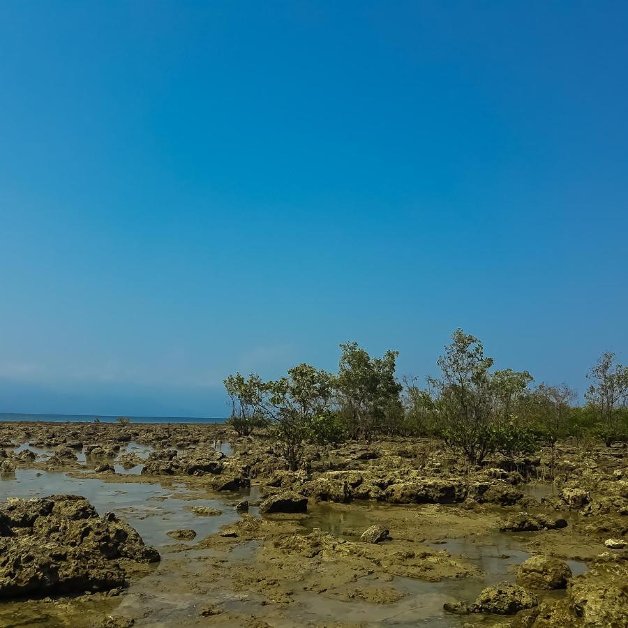 Seasta Beach Resort Baler Dış mekan fotoğraf