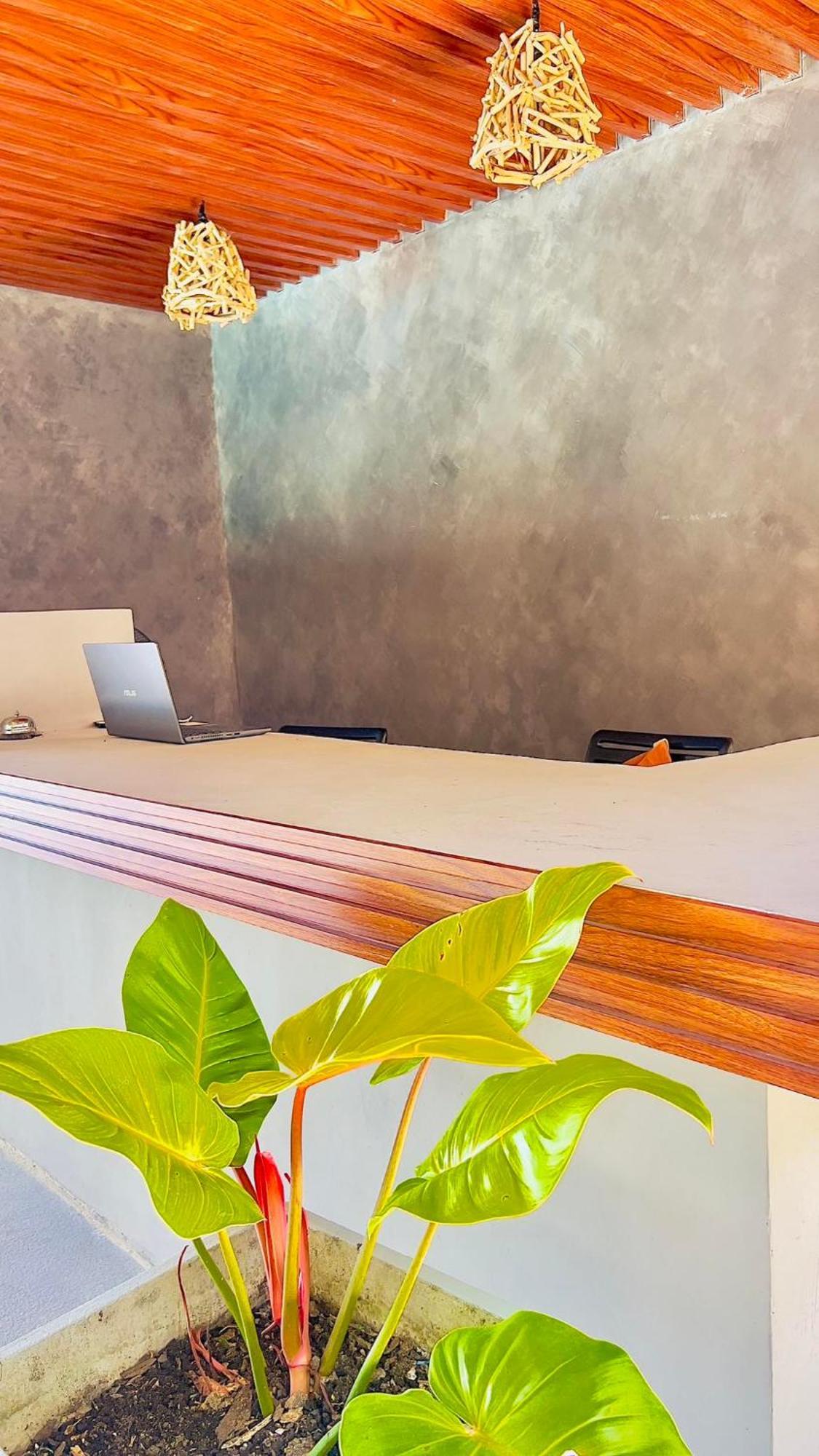 Seasta Beach Resort Baler Dış mekan fotoğraf